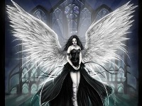 Michelle P. gravatar