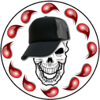 Vidsurfer gravatar