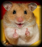 Mister E. Hamster gravatar