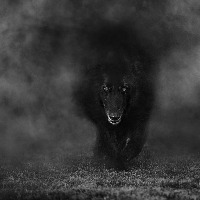 Zuris Rhaan gravatar