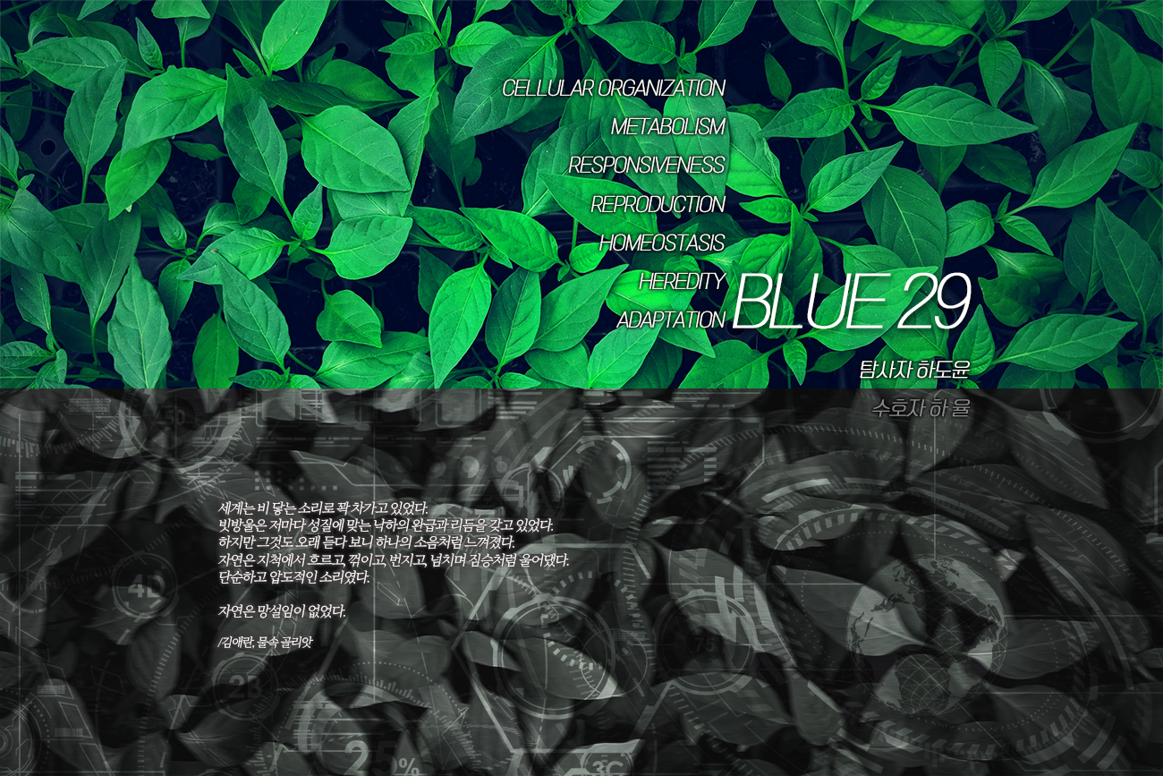 BLUE29