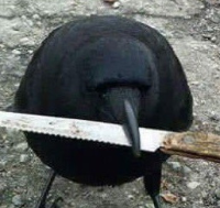 Count Succula gravatar