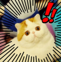 Carteblanched gravatar