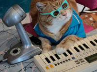 Deckard_Cain gravatar