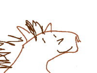 TheDingoose gravatar