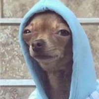 goblinstein  gravatar