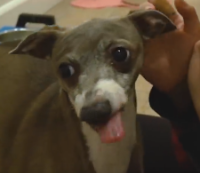 almighty mate gravatar