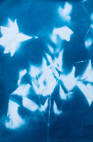 salaciasaturn gravatar