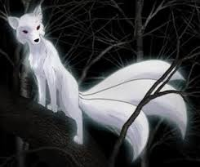 SachikoFox gravatar