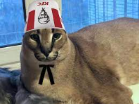 DUNG30N_MAS13R gravatar