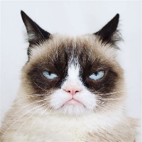 Grump E. Cat gravatar