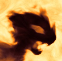 Amberlight gravatar