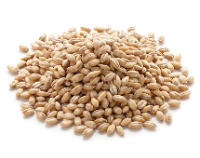 Barley gravatar