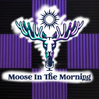 Moose In The Morning gravatar