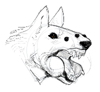 SharkleMotion gravatar