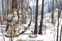 Traix Trueshot gravatar