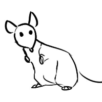 Black_Rat gravatar