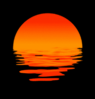 Sunny D. gravatar