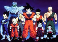 boxturtle2015 gravatar