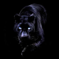 Dreamwalker gravatar