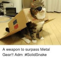 Crazy Cat God. gravatar