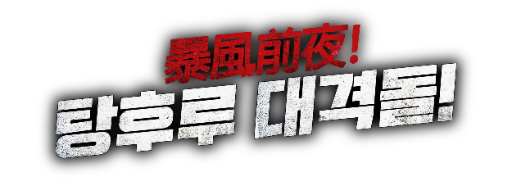 타이포