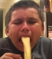 Fredda Warhead gravatar