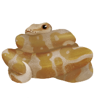 Secretly Paul gravatar