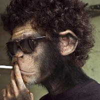 ChicodeRelleno42 gravatar