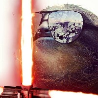 FrenchSpence gravatar