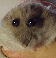 Davey D. / Dave_y_D gravatar