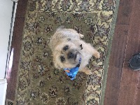 The Water Horse gravatar