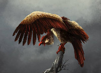 Mauricio G. gravatar