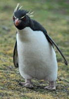 Alexandria H. gravatar