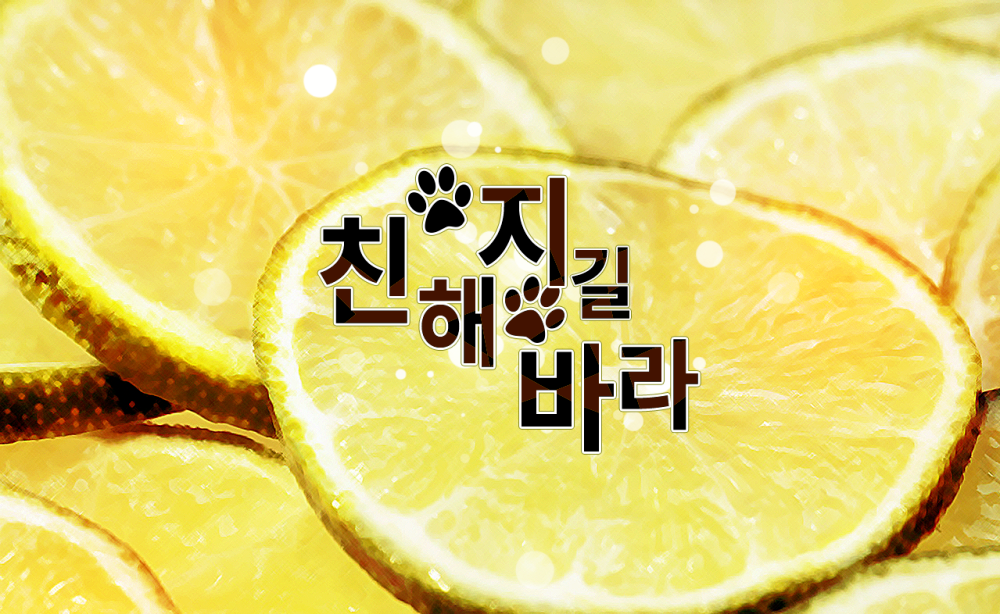 친해지길 바라!