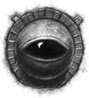 Paulo Alves gravatar