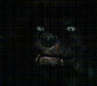 atom fenrir gravatar