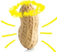 blessed peanut gravatar