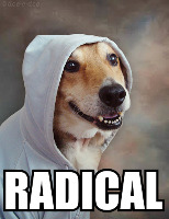 Squoom Diddy gravatar