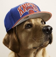 Ricky Rollerini gravatar