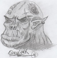 MattG.(Griznak) gravatar