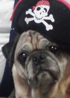 James Corkrum gravatar