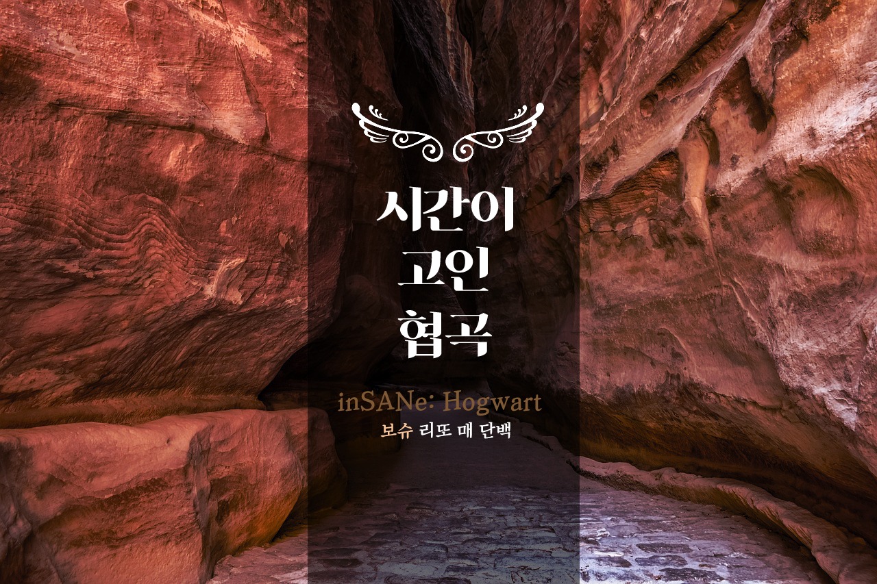 호그와트 인세인