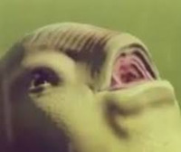 killingrosh . gravatar