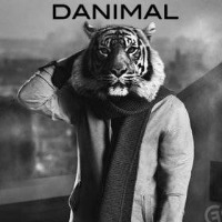 Danimal gravatar