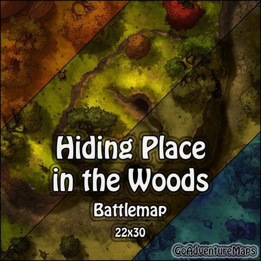 Hiding Place in the Woods