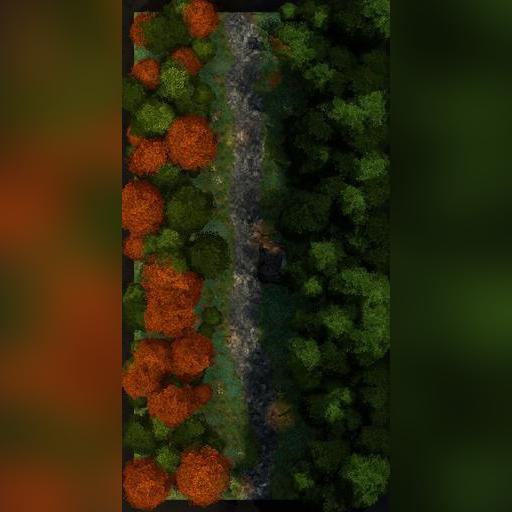 Forest Path