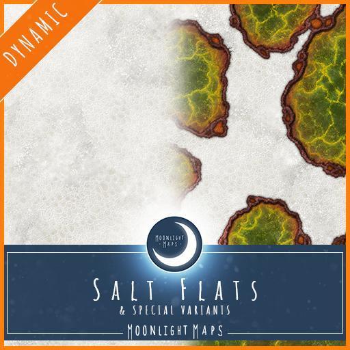 Dynamic | Salt Flats