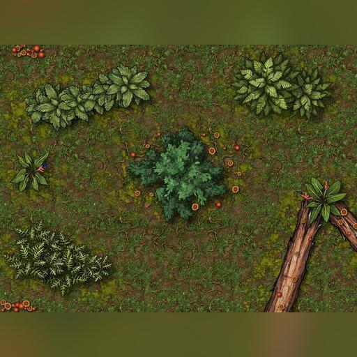 Summer Forest Maps