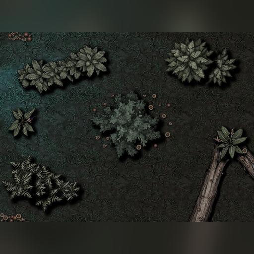 Summer Forest Night Maps